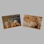 Christmas cards candles-champagne 10 pieces with envelope Christmas cards candles-champagne 10 pieces with envelope