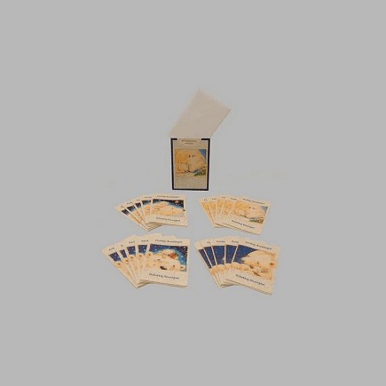 Christmas card with envelope box design polar bear 20 pieces