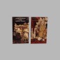 Christmas cards bear and pine cones 6 pcs