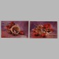 Christmas cards basket and musical instruments 6 pcs