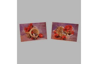 Kerstkaarten mand en muziek instrumenten 10 stuks met envelop