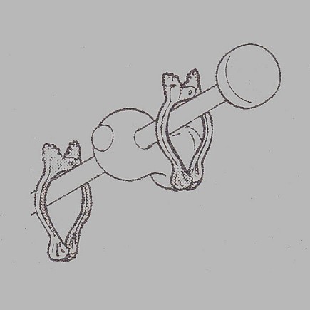 Clips voor vitrage wit 35 mm 6 stuks