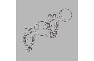 Clips voor vitrage wit 35 mm 6 stuks