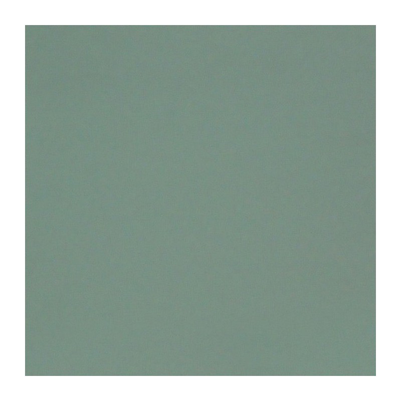 DECORATION PAINT PEYOTE GREEN