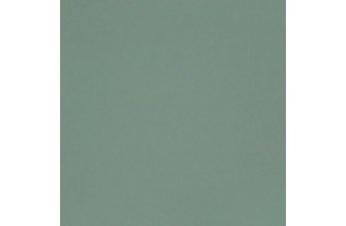 Peinture murale Peyote Green - Douce et fraîche