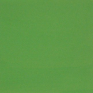 DECORATION PAINT ABSINT GREEN