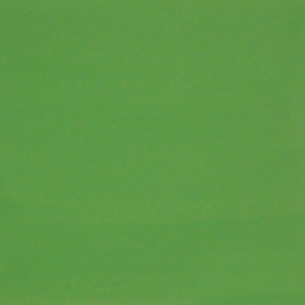 DECORATION PAINT ABSINT GREEN