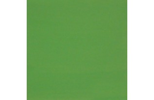 Muurverf Absint Green - Levendig Groen