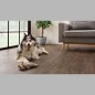 jasper oak 01 essentials 1500 Coretec plancher pvc