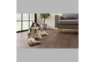 jasper oak 01 essentials 1500 Coretec plancher pvc