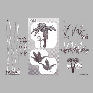 Décoration pour chambre d'enfant de frieze frame design Jungle A