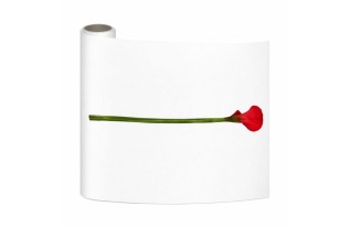 Chemin de Table en Papier Calla Rouge – Élégant & Créatif (10 m × 30 cm)