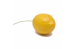 Citroen op IJzerdraad – Geel Namaak Fruit (6 × 4 cm)