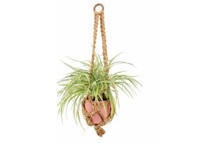 Macramé Plantenhanger “Iris” – Handgemaakt & Tijdloos | Lengte 75 cm