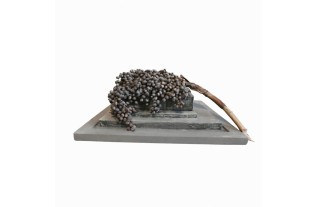 Socle Rustique avec Branche de Dattier – Objet Décoratif Authentique | L. 40 x H. 20 cm