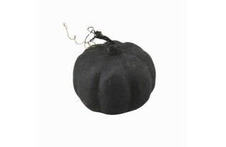 Citrouille Décorative Noire – Cornwall Black | Ø 12 cm