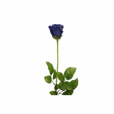 Silk Rose – Blue | Length 90 cm