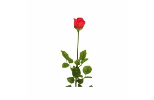 Silk rose – red – 90 cm