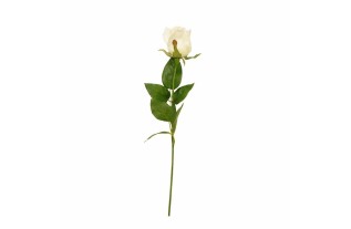 Rose en soie – blanche – 60 cm