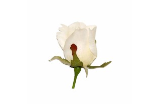 Silk rose – white – 60 cm