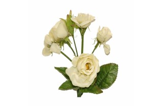 rose of silk per bunch color white length 80 cm