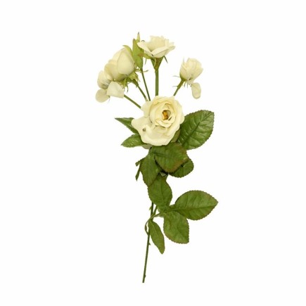 rose of silk per bunch color white length 80 cm