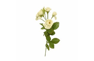 Rose de soie couleur blanche longueur 80 cm