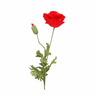 Coquelicot avec feuilles – rouge – 75 cm