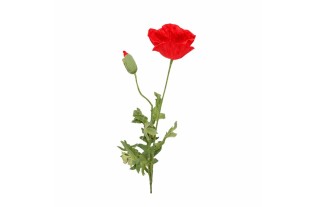 Coquelicot avec feuilles – rouge – 75 cm