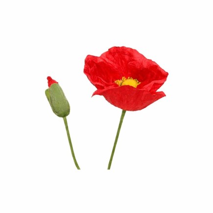 Poppy with leaves – red – 75 cm