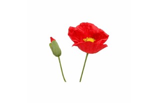 Coquelicot avec feuilles – rouge – 75 cm