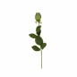 Roos van zijde – groen – 60 cm