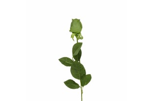 Silk rose – green – 60 cm