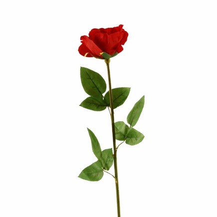 Stem rose – dark red – 60 cm