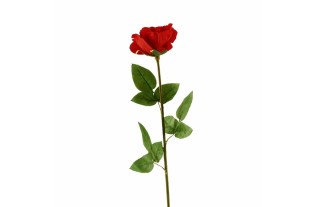 Stem rose – dark red – 60 cm