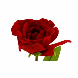 Stem rose – dark red – 60 cm