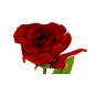 Stem rose – dark red – 60 cm