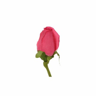 Roos van zijde – oud roze – 75 cm