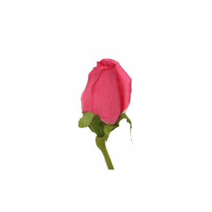 Silk rose – dusty pink – 75 cm
