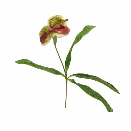 Orchidee met blad – roodbruin – 45 cm