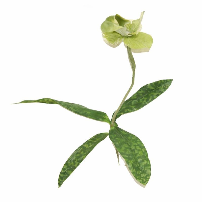 Orchidée avec feuilles – verte – 45 cm