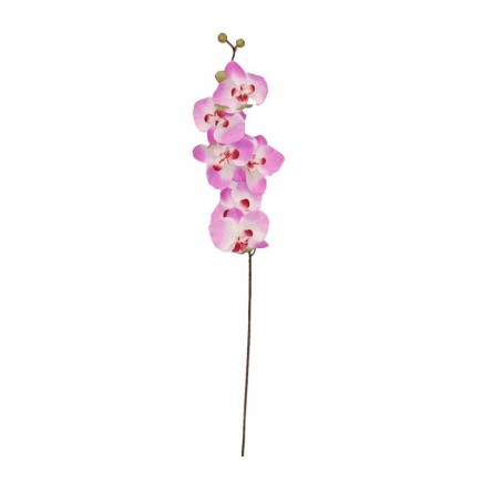 Orchidee – wit-paars – 80 cm