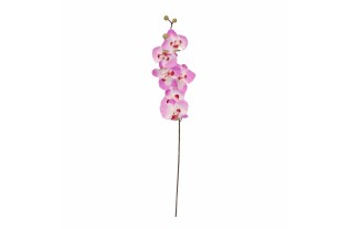 Orchidee – wit-paars – 80 cm