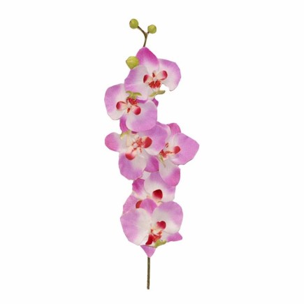 Orchidee – wit-paars – 80 cm