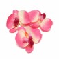 Fleurs d’orchidée détachées – rose – 10 cm – lot de 3