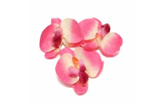 Fleurs d’orchidée détachées – rose – 10 cm – lot de 3