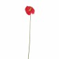Anthurium klein – rood – 45 cm