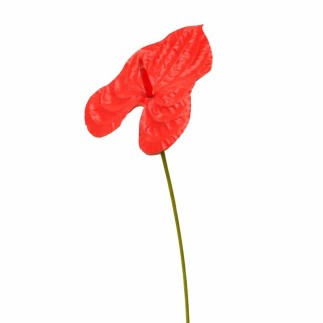 Anthurium en soie – rouge – 80 cm