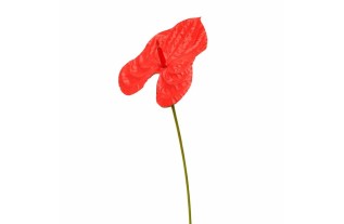 Anthurium en soie – rouge – 80 cm