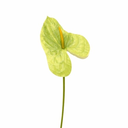 Anthurium van zijde – groen – 80 cm